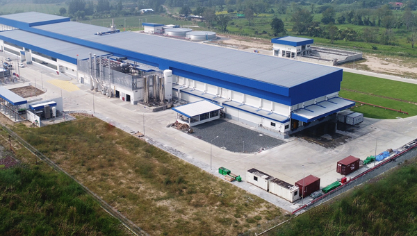 Keystone Plant